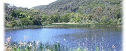 McLarens Dam